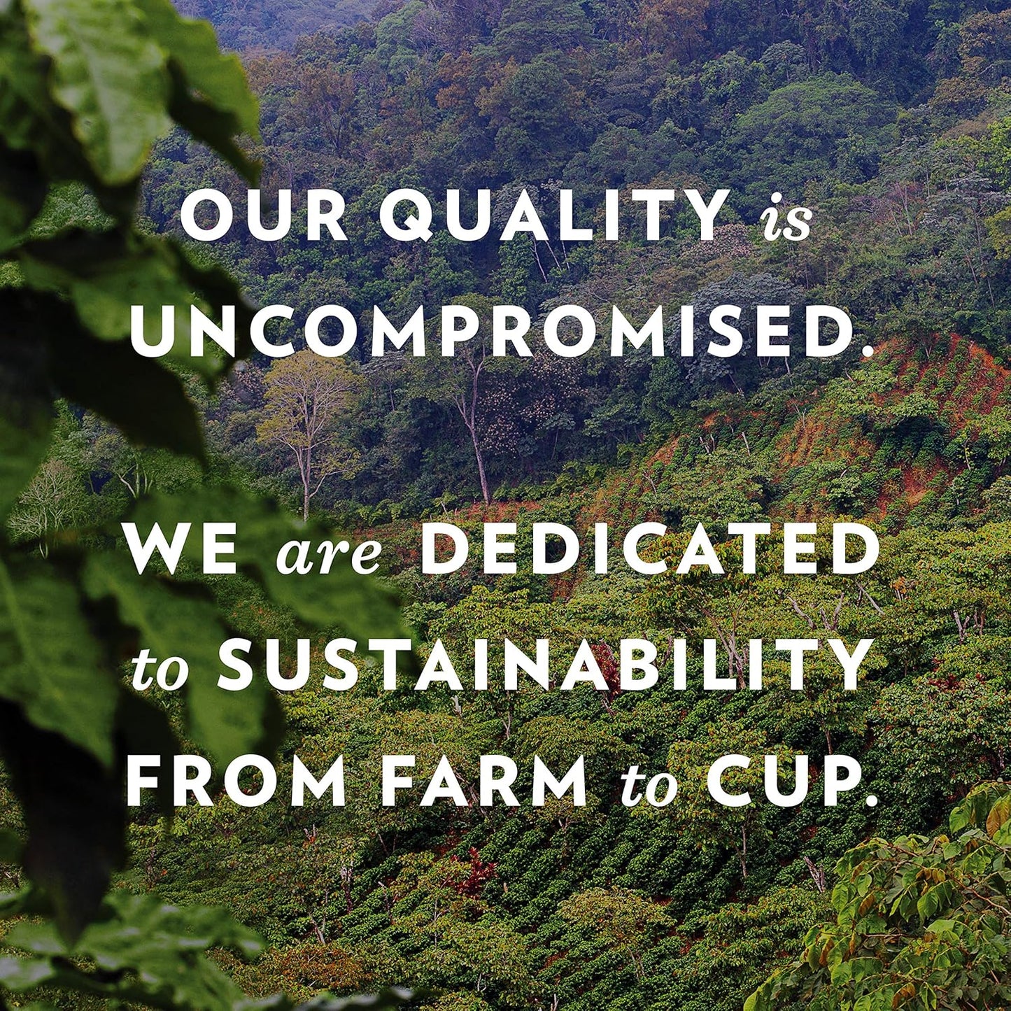 Community Coffee Breakfast Blend 60 Count Coffee Pods, Medium Roast, Compatible with Keurig 2.0 K-Cup Brewers, Box of 60 Pods