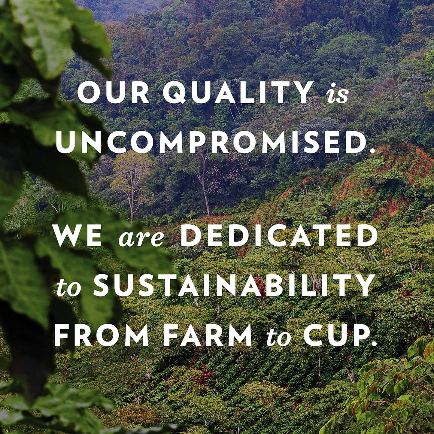 Community Coffee Variety Pack 54 Count Coffee Pods, Medium Dark Roast, Compatible with Keurig 2.0 K-Cup Brewers(Pack of 1)